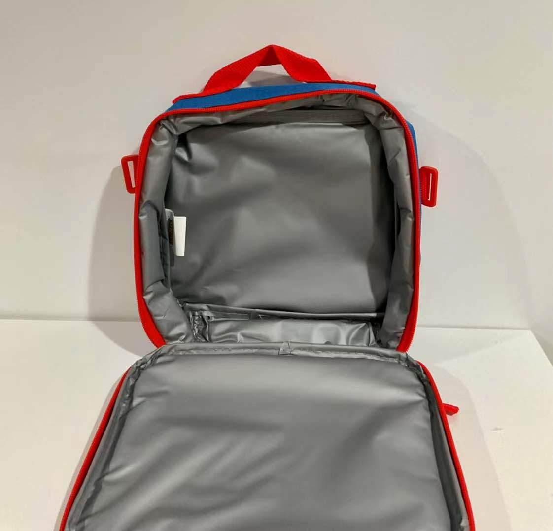 Accessory Innovations Full Size 16 Inch Backpack with Detachable Lunch Box
