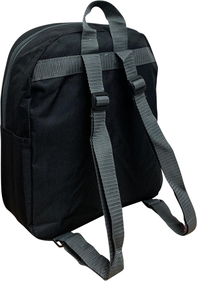 Ruz Sonic The Hedgehog 12" Kid's Backpack, Sonic - Shadow School Bag